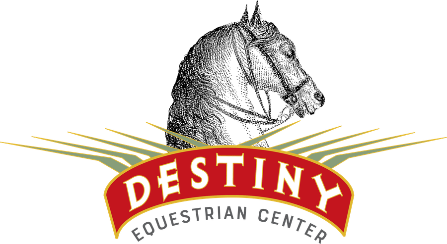 Destiny Morgan Farm logo