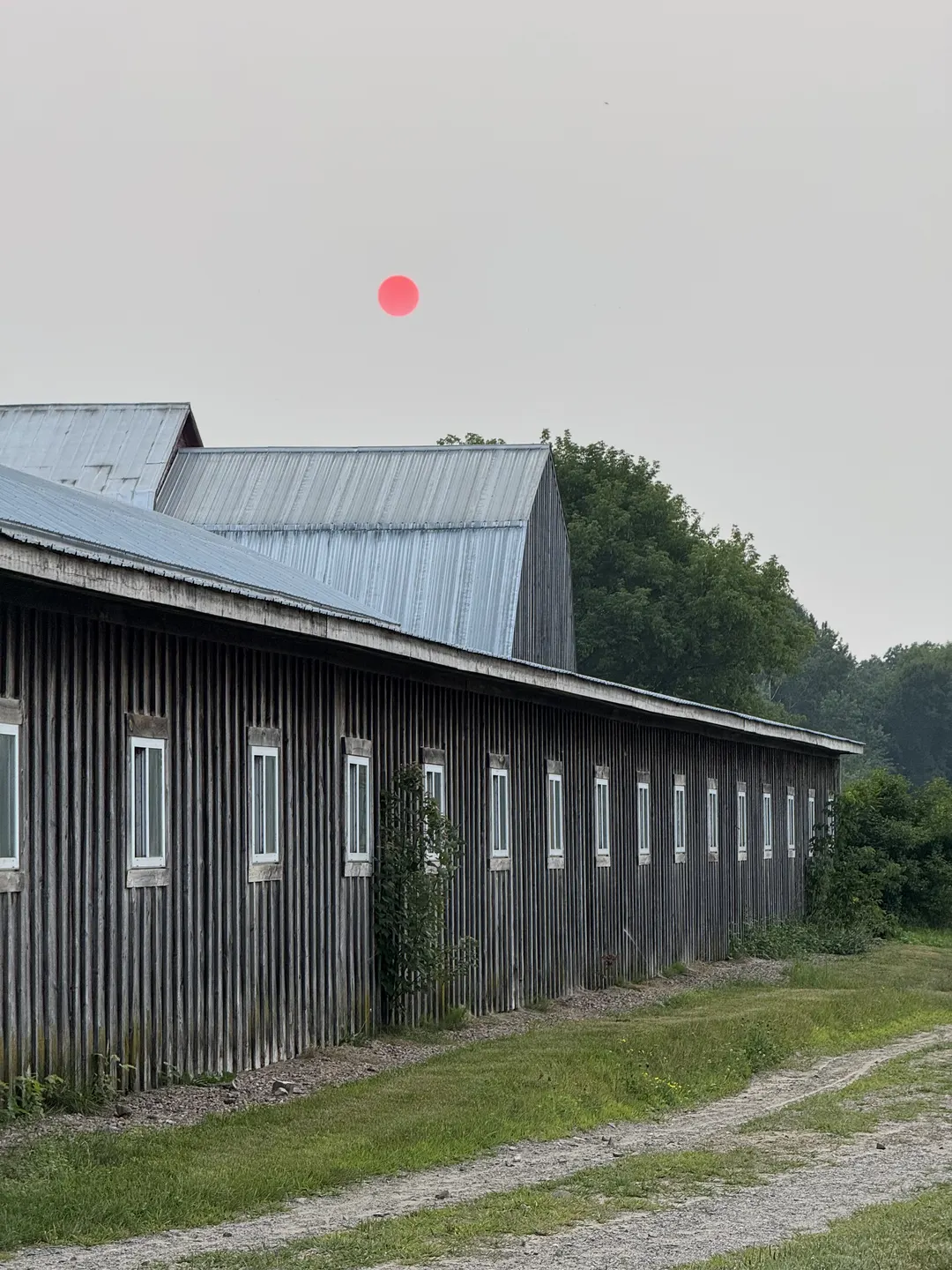 The long timber barn with a row of windows beside a gravel lane