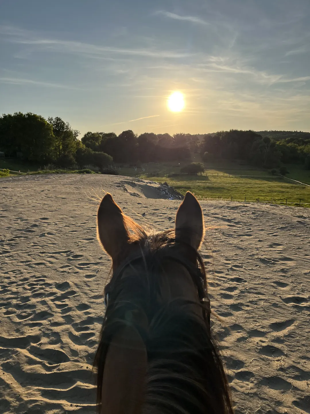 View between a horse's ears across the sand arena at sunset